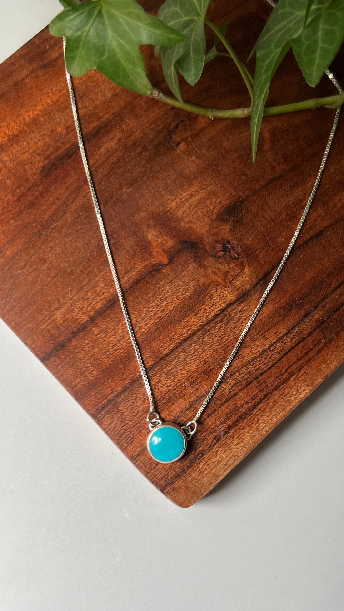 Sleeping Beauty Turquoise Necklace (3)