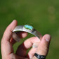 Sonoran Turquoise Cuff SZ:Medium